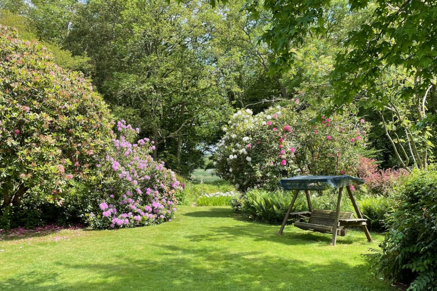 The Holt garden in summer